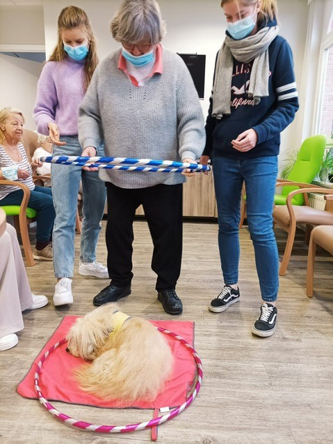 Honden op bezoek